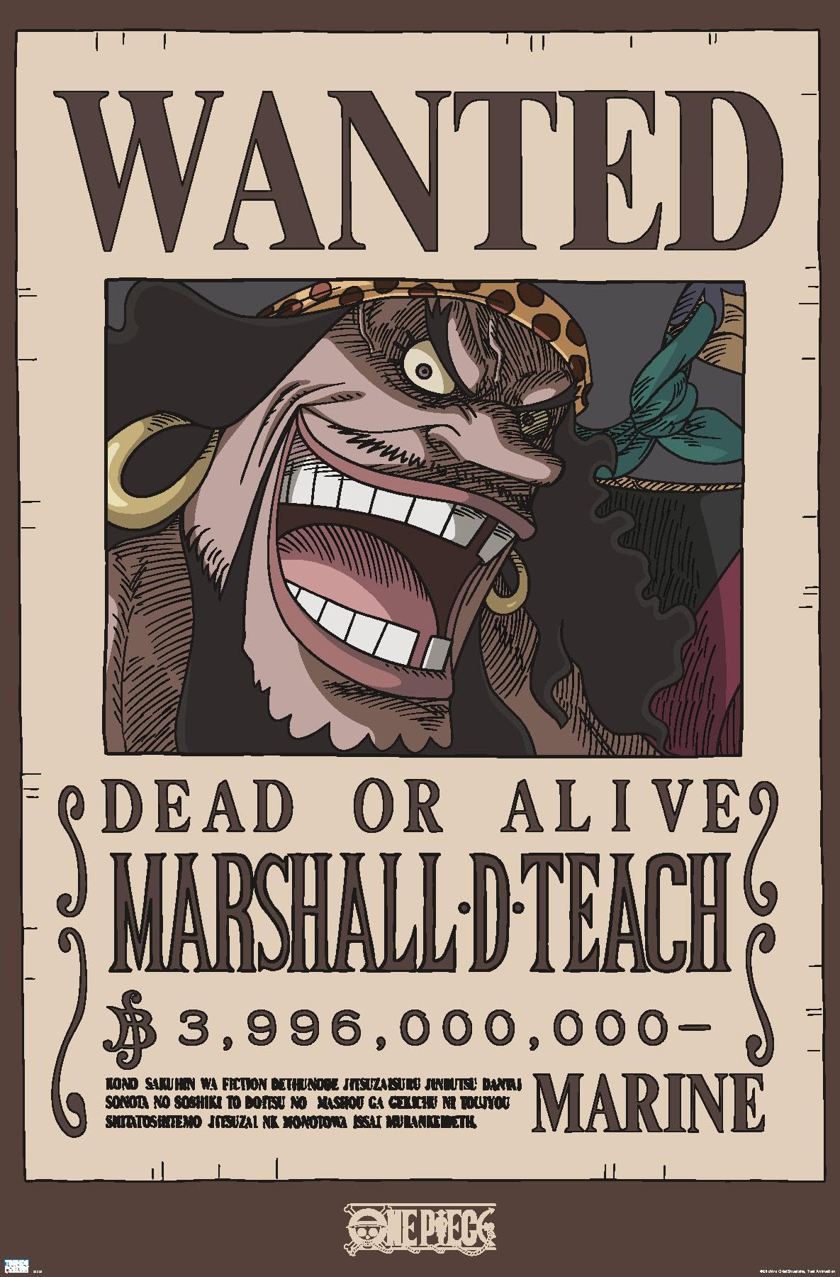 Amazon.com: One Piece - Black Beard Wanted Poster Wall Poster, 34L