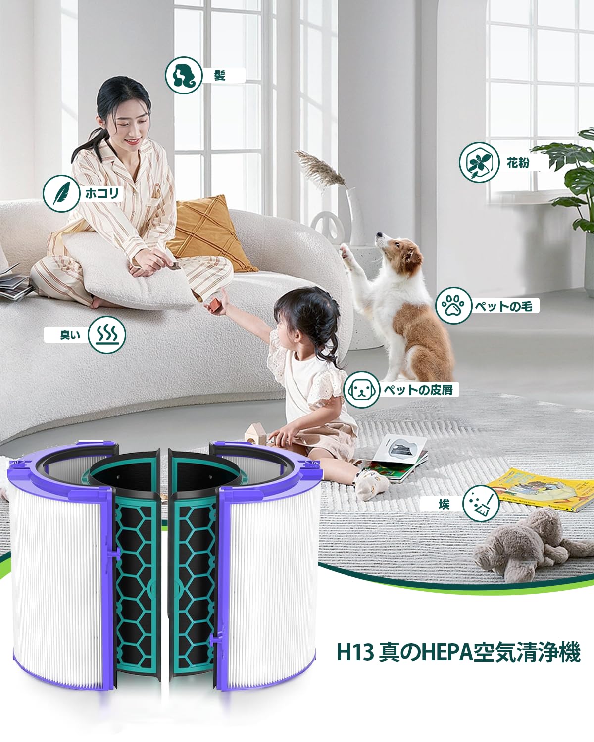 Amazon.co.jp: ダイソン 空気清浄機用 HP05 DP04 TP04 HP04 TP05 用