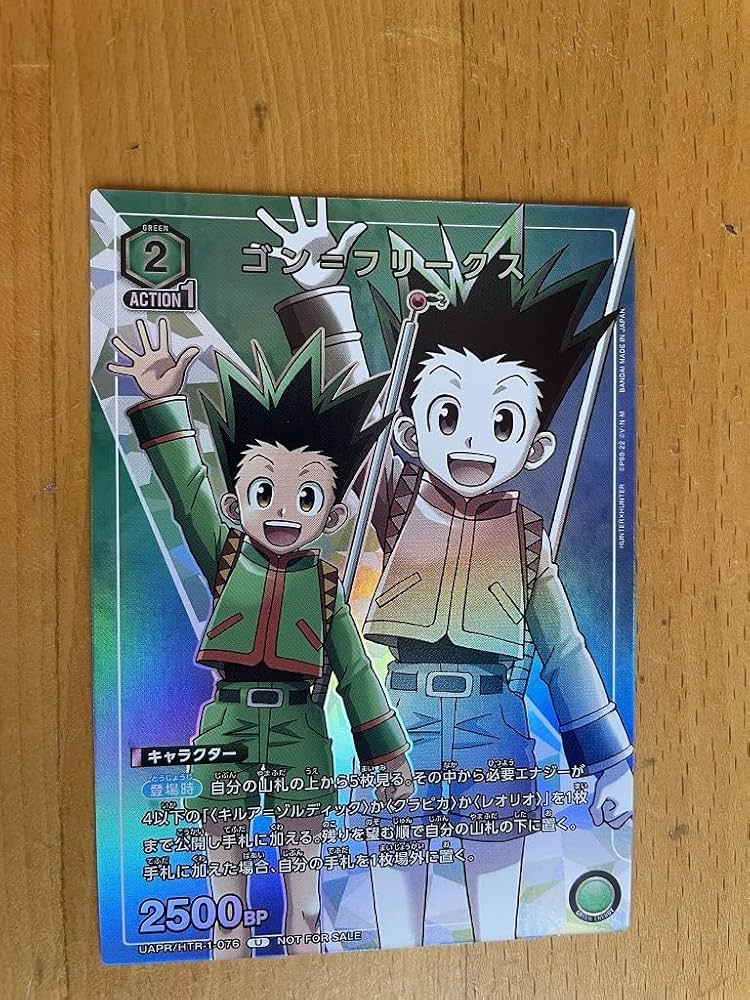 Amazon.co.jp: ハンターハンター HUNTER HUNTER ゴン フリークス