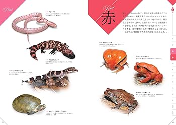 色彩別 爬虫類・両生類図鑑 | 川添 宣広 |本 | 通販 | Amazon