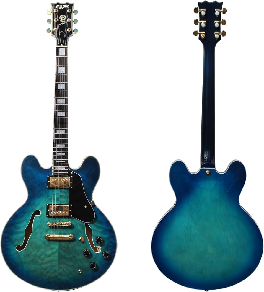 Amazon | MUSOO セミ ホロー ボディ カスタム ジャズ エレキ ギター