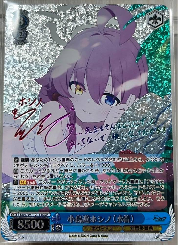 Amazon.co.jp: ブルアカ 小鳥遊ホシノ 水着 サイン箔押し カード