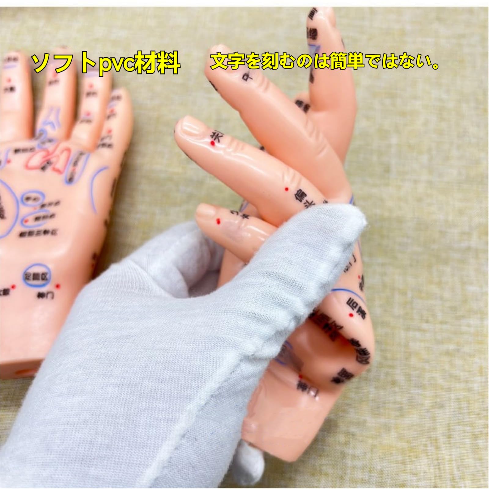 Amazon.co.jp: 4 アイテム 耳と手と足のツボモデル 耳ツボ 模型 手鍼