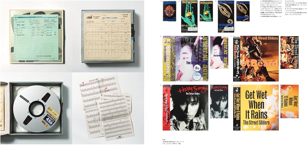 The Street Sliders Rock'n'Roll Chronicle（ザ・ストリート・ス