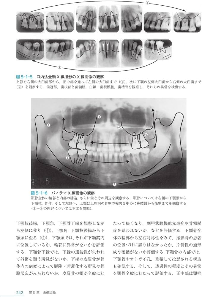 歯科放射線学 第7版 | 岡野 友宏, 小林 馨, 有地 榮一郎, 勝又 明敏