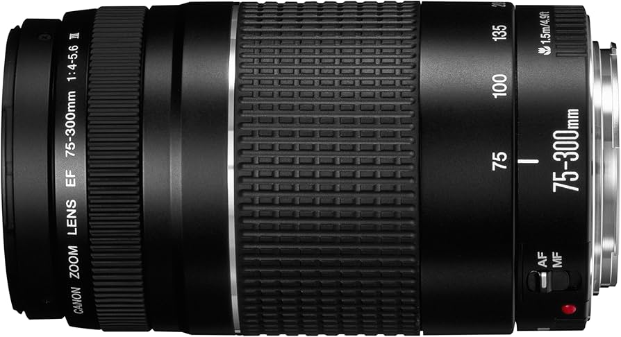 Canon EF 75-300mm f/4-5.6 III Telephoto Zoom Lens : Amazon.ca