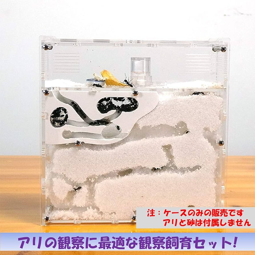 Amazon | EXDUCT アリ飼育セット 自由研究 ケース 水槽 砂 観察 巣