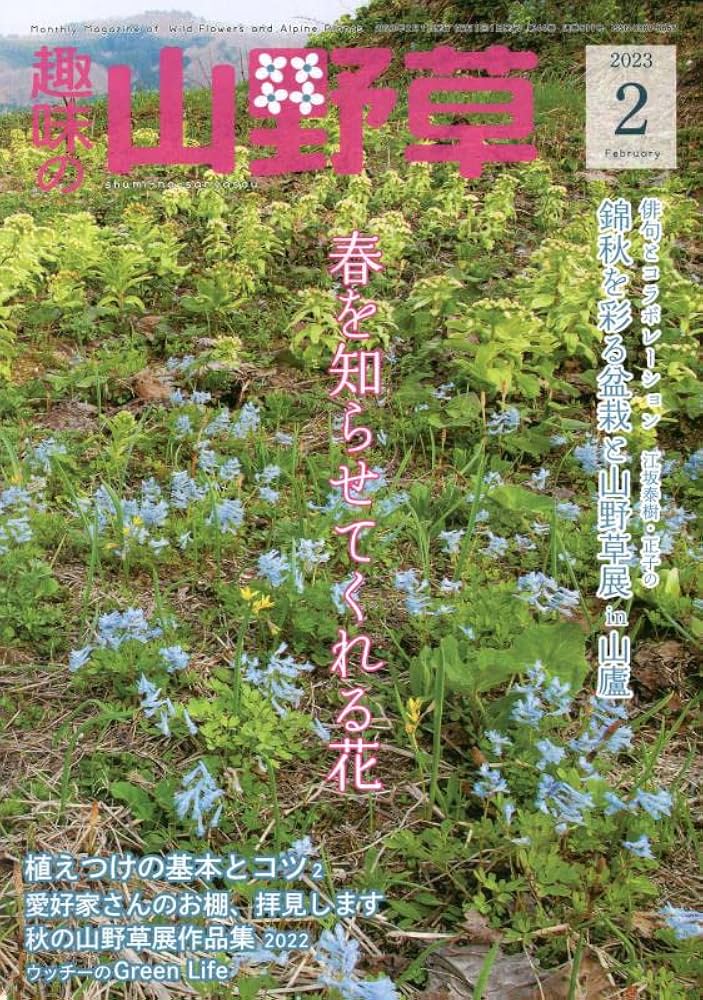 趣味の山野草2023年2月号 | 栃の葉書房 |本 | 通販 | Amazon