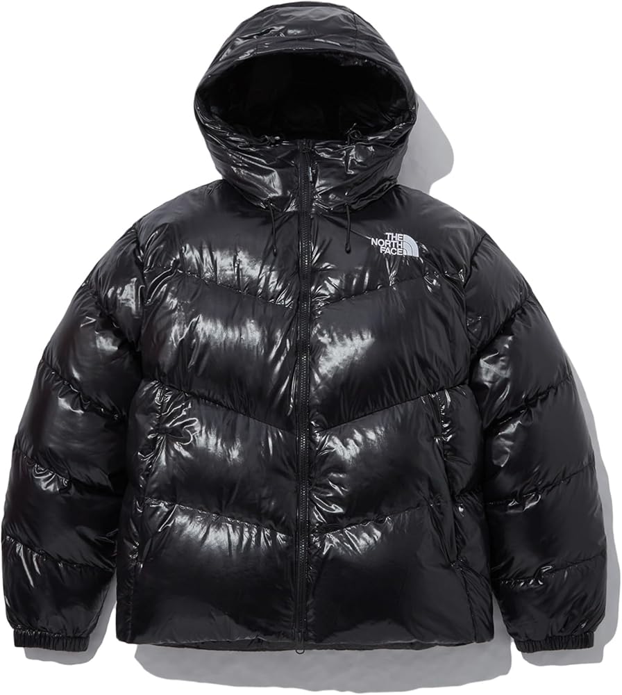 Amazon | THE NORTH FACE (ザ・ノースフェイス)NEO FREE MOVE DOWN