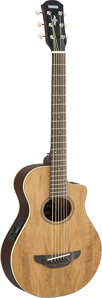 Amazon | Yamaha APXT2 3/4-Size Acoustic-Electric Guitar with Gig