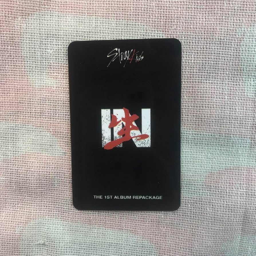 Amazon.co.jp: StrayKids スキズ IN生 チャンビンスキズ subk 特典