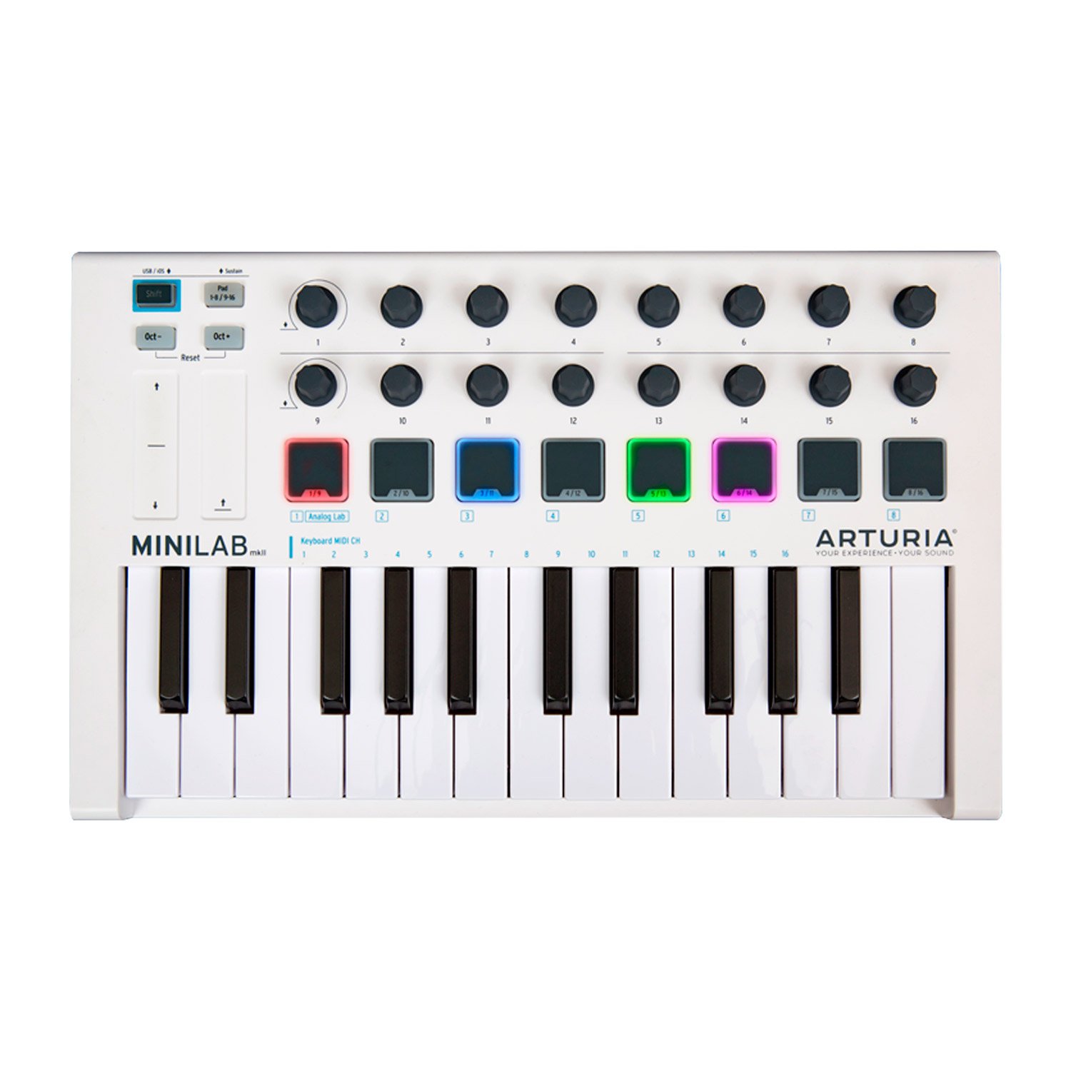 Amazon.com: Arturia MINILAB mkII universal MIDI Controller with 1