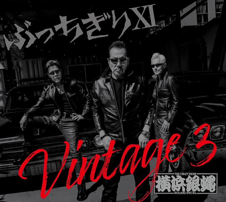 Amazon.co.jp: ぶっちぎりⅪ Vintage 3 初回限定盤 - T.C.R.横浜銀蝿