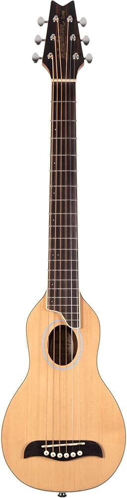 Amazon.co.jp: Washburn ワッシュバーン RO10 Rover Steel String