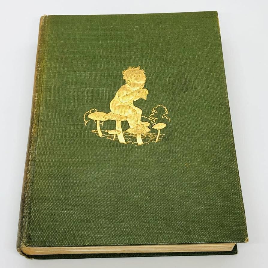 Amazon.co.jp: 現品限り アーサー・ラッカムの挿絵 代表作 『 ピーター