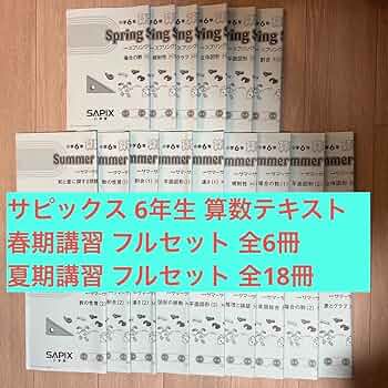 Summer SapiX 6年生 学習参考書 18冊セット Summer SapiX 6年生 学習