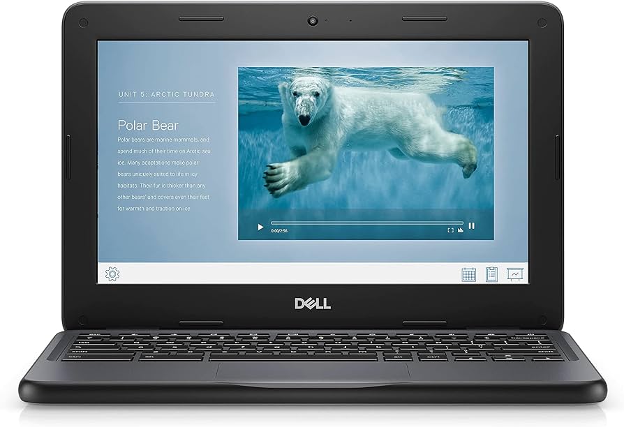 Amazon.com: Dell Chromebook 11 3100 11.6