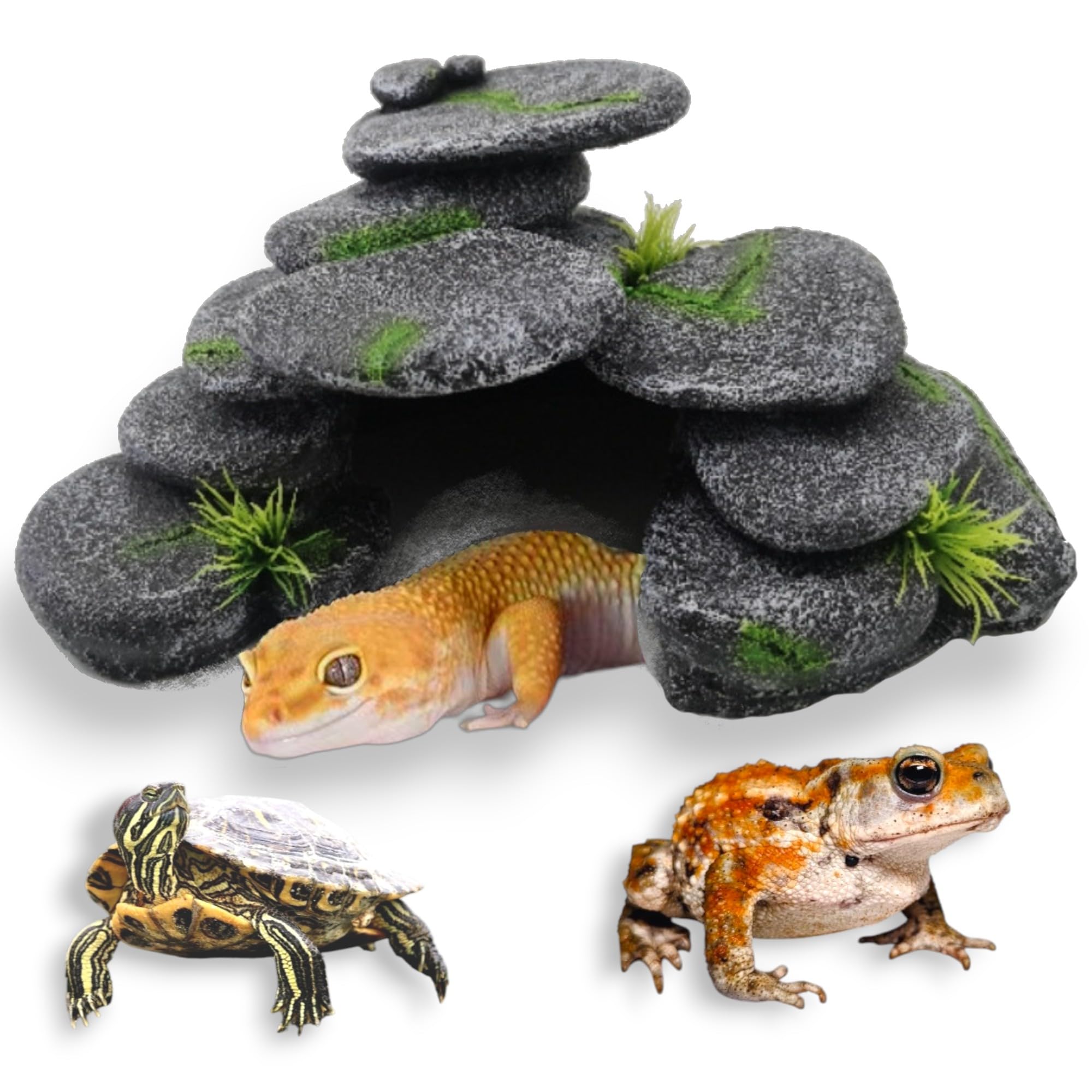 爬虫類 ケージ 飼育 セット 水皿 ヒーター ウェットシェルター バス