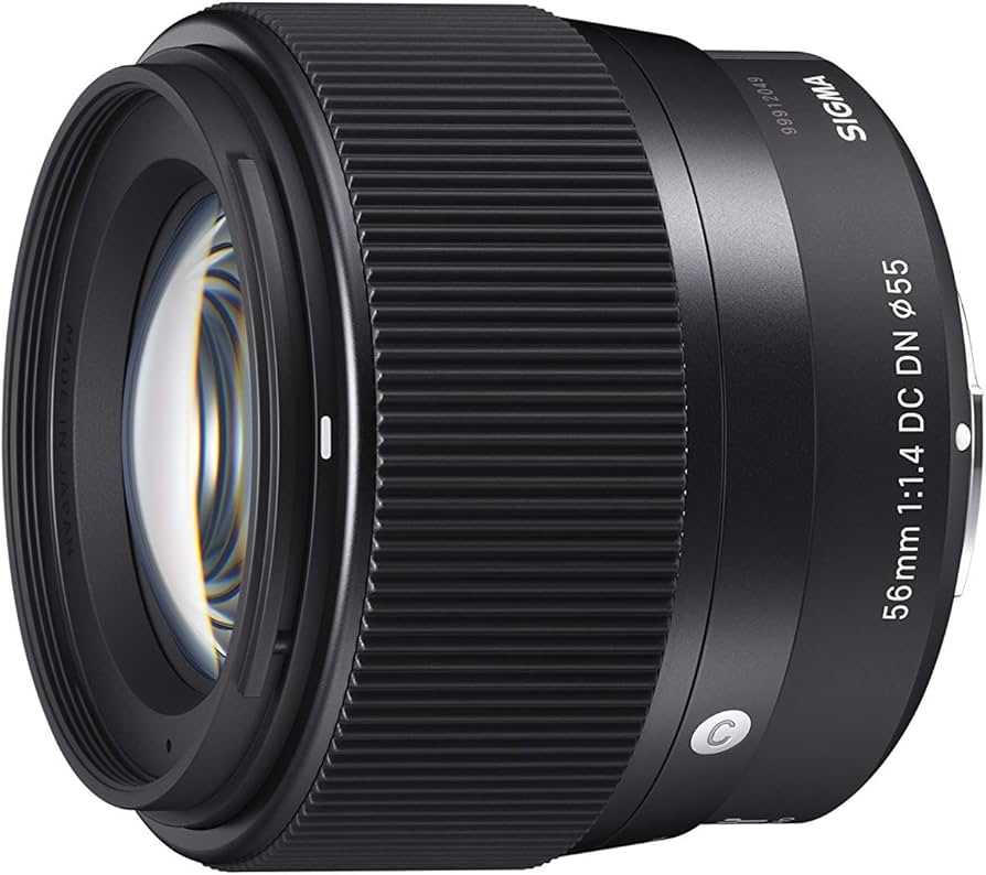 Amazon.com : Sigma 56mm for E-Mount (Sony) Fixed Prime Camera Lens