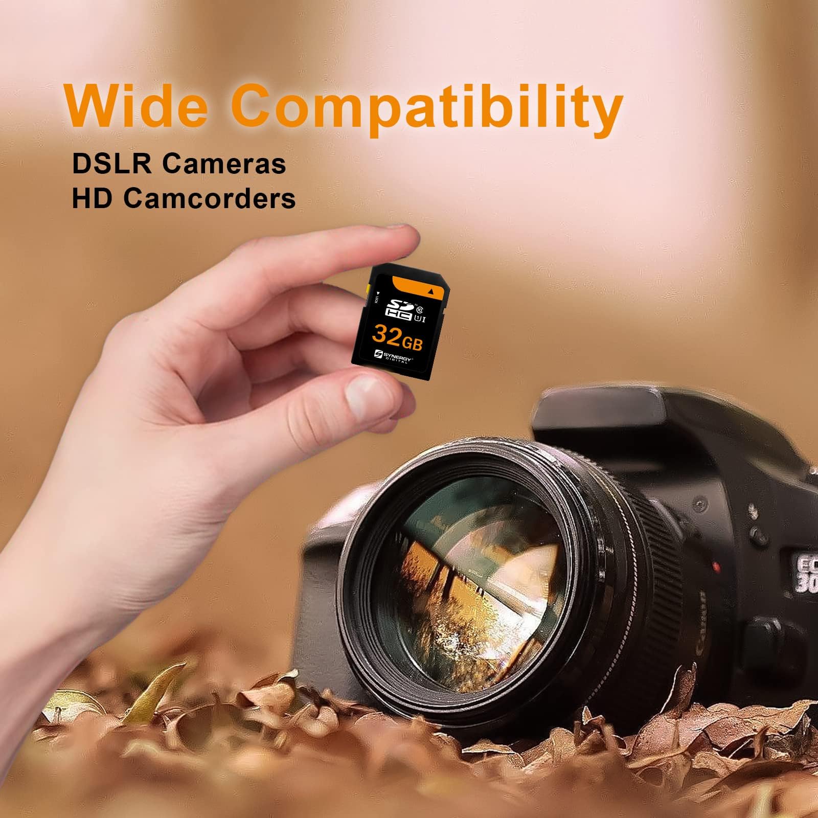 Amazon.com: Panasonic Lumix DMC-ZS20 Digital Camera Memory Card