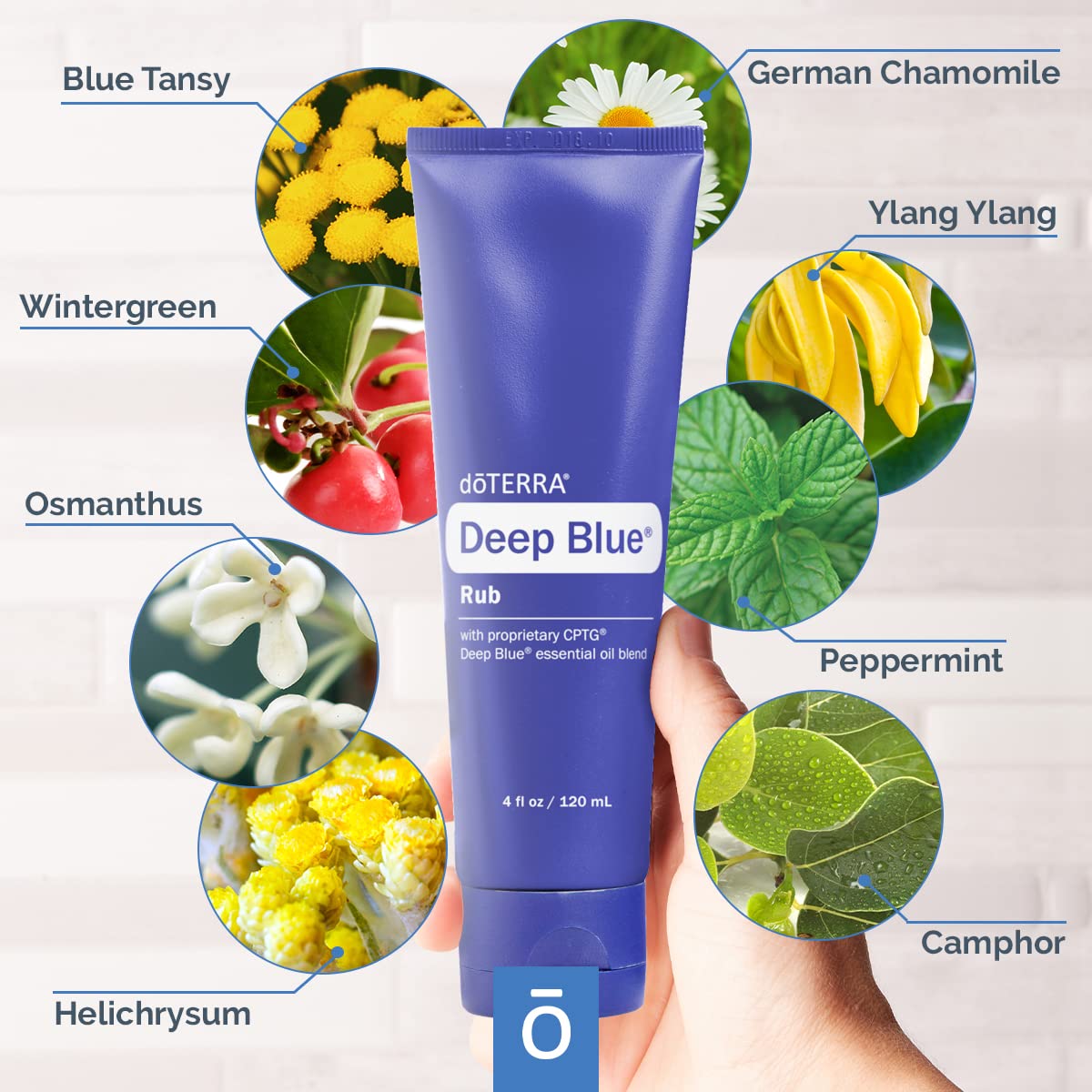 Amazon.com: doTERRA Deep Blue Rub : Health & Household