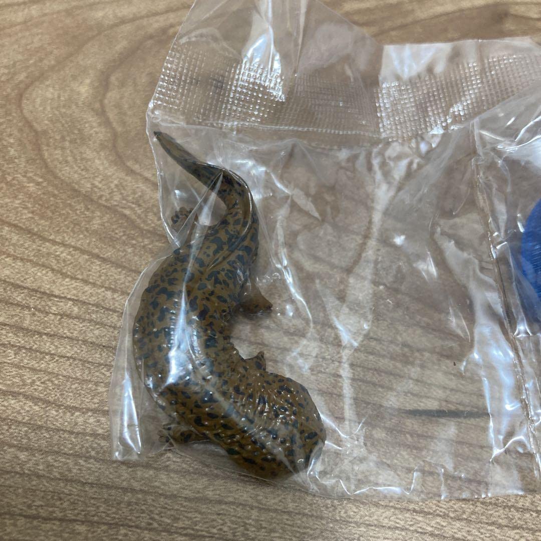 Amazon | 京都水族館フィギュアコレクション オオサンショウウオ（交