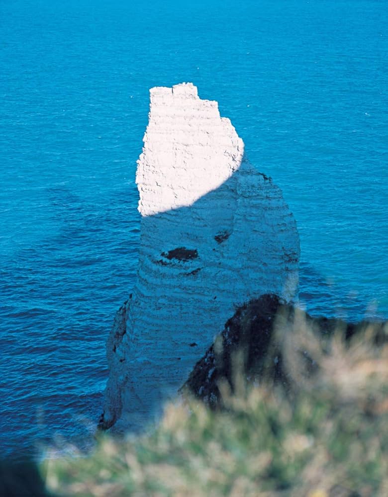 知覚の感光板 | 鈴木 理策 |本 | 通販 | Amazon