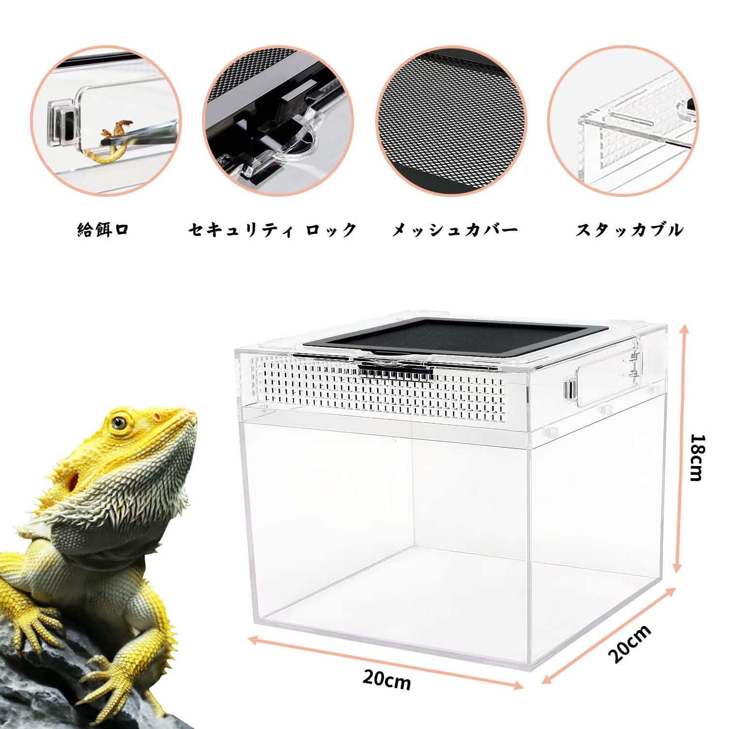 Amazon | Reptile Growth 小型爬虫類 ケージ 透明 爬虫類ケージ 飼育