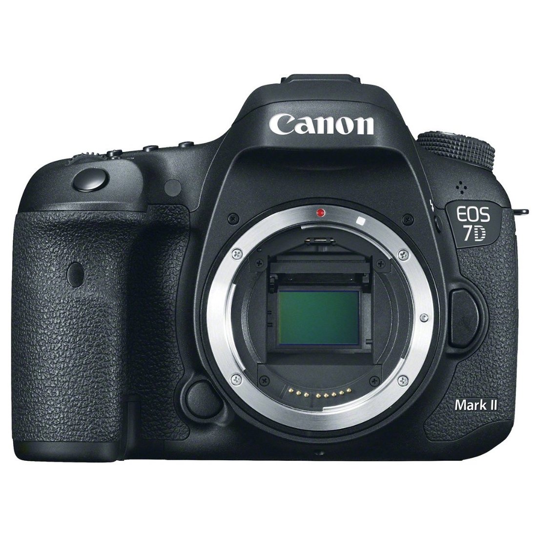 Amazon.com : Canon EOS 7D Mark II Digital SLR Camera (Body Only
