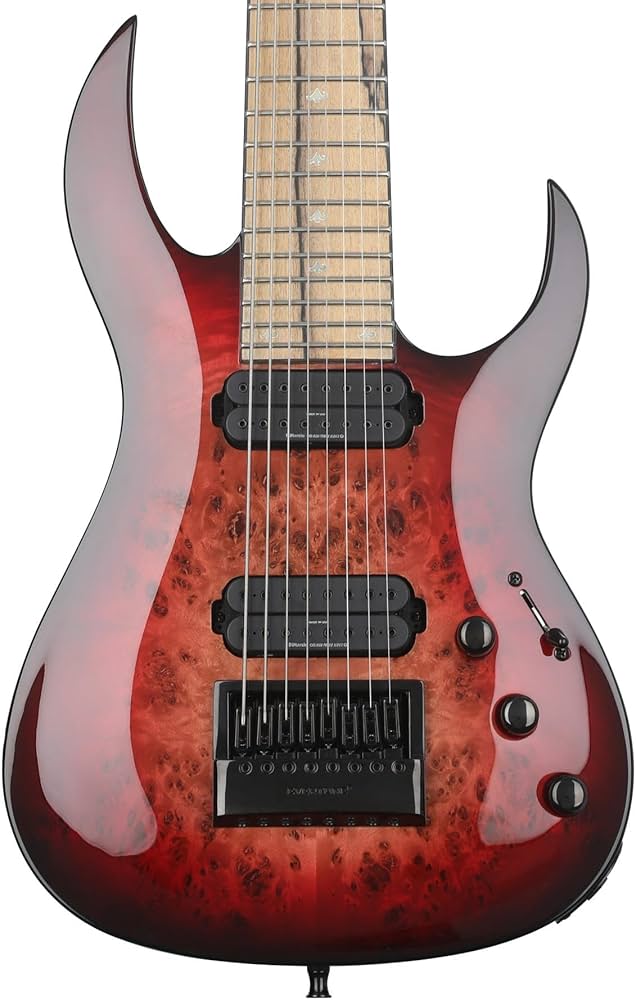 Amazon.com: B.C. Rich Shredzilla Prophecy 8 Archtop 8-string