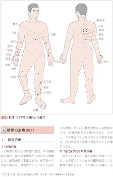 図解鍼灸療法技術ガイドII 第2版 臨床の場で役立つ実践のすべて | 矢野