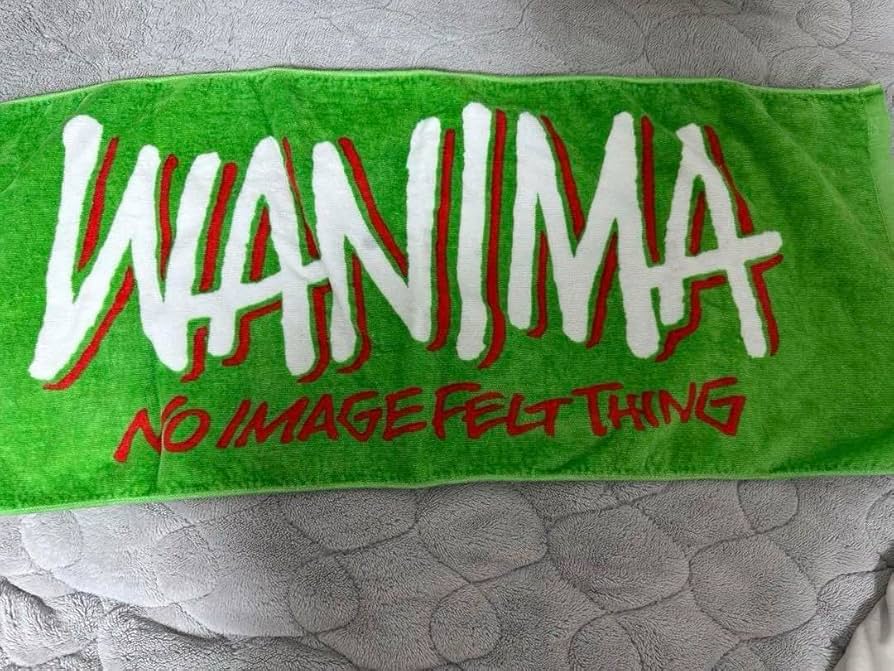 邦ロックバンドTシャツ タオル ラバーバンド 未使用マイヘア靴下 邦