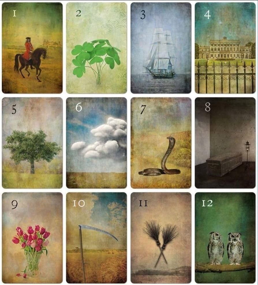 Amazon.co.jp: ムーンナイト ルノルマン カード デッキ 占い タロット