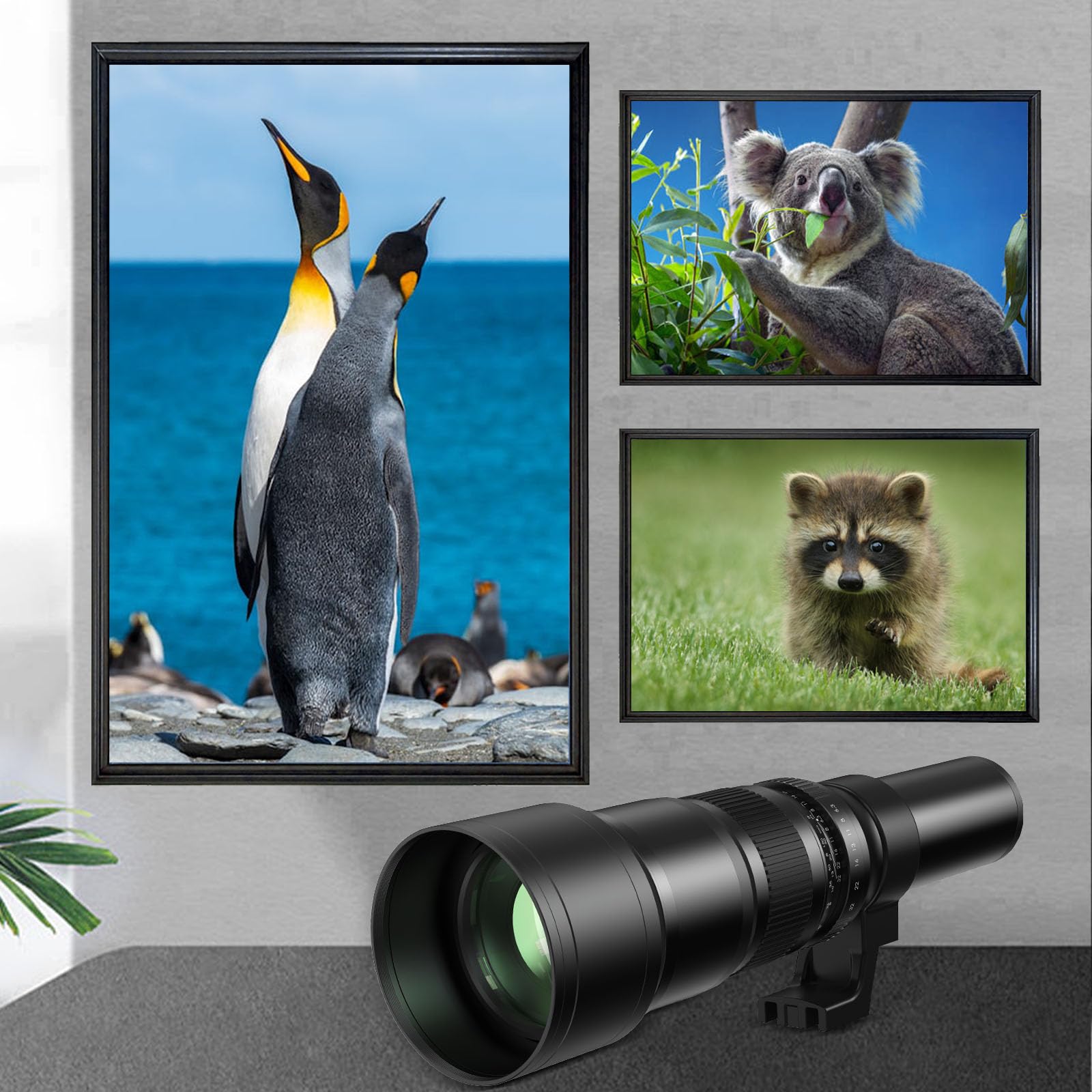 Amazon.co.jp: Lightdow 500mm F/6.3-32大型 望遠レンズ一眼レフレンズ