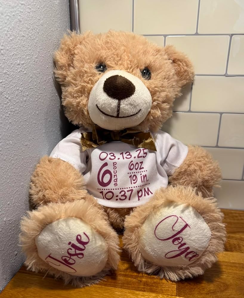 Amazon.com: Quaakssi Teddy Bears Bulk 5 Packs 13.5 Inches Small