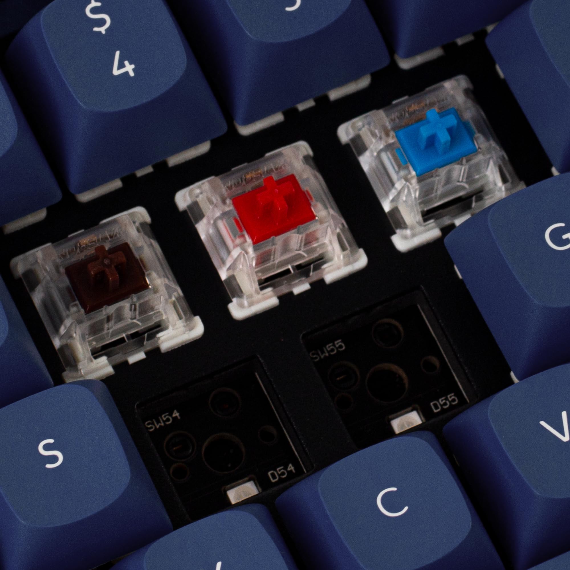 Amazon.co.jp: Keychron Q1 RGB 有線 カスタム メカニカル キーボード