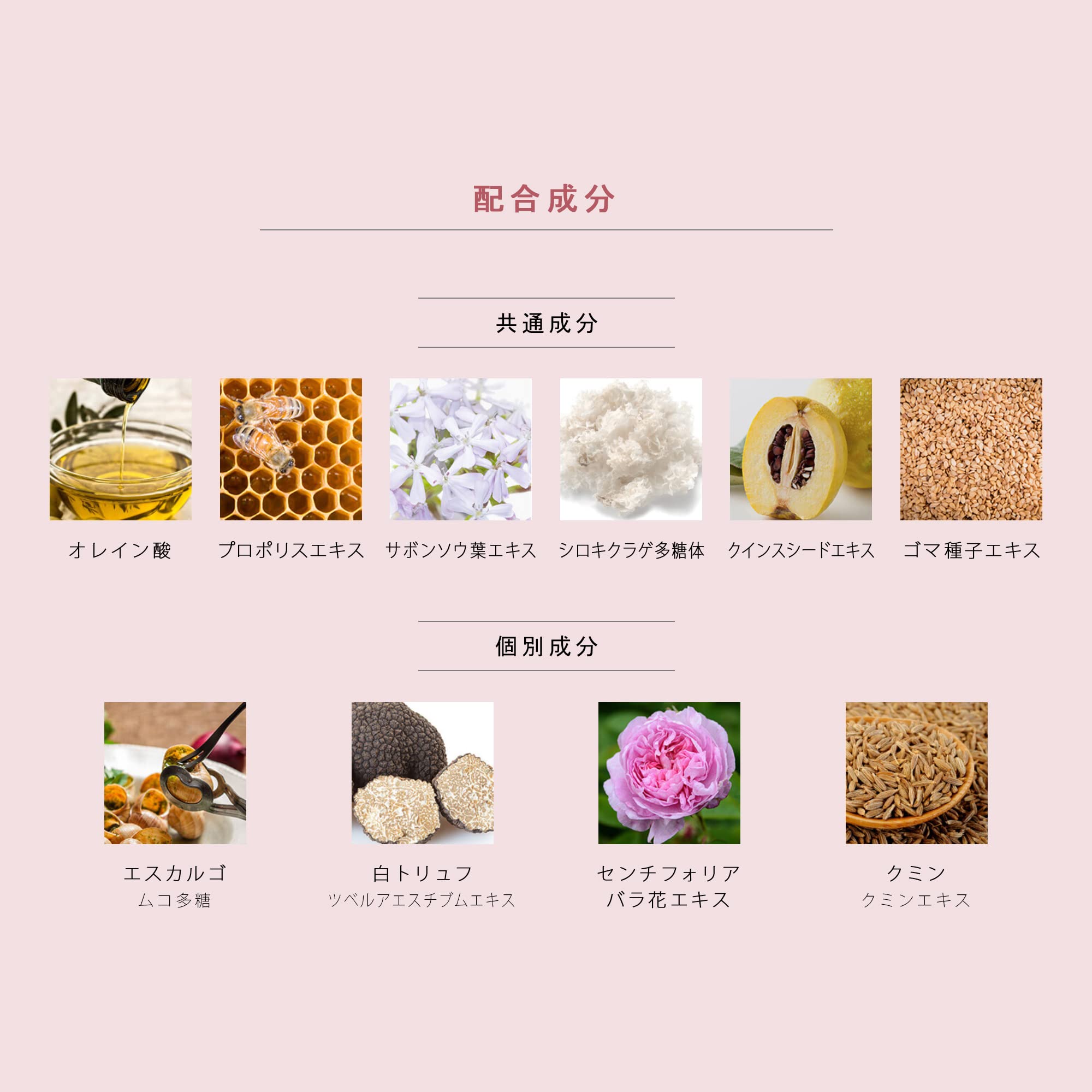 Amazon | メルサボン ホイップ フェイスウォッシュ フローラルハーブ