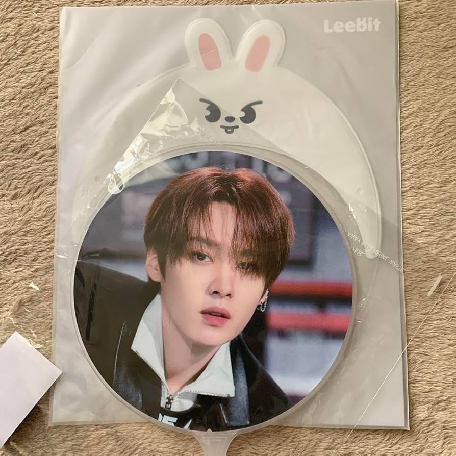 stray kids スキズ LEEKNOW リノ うちわ 【公式通販】