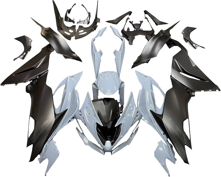 Amazon | Bruce & Shark(ブルース・サメ) ZX6R カウル 適用ZX6R 2019