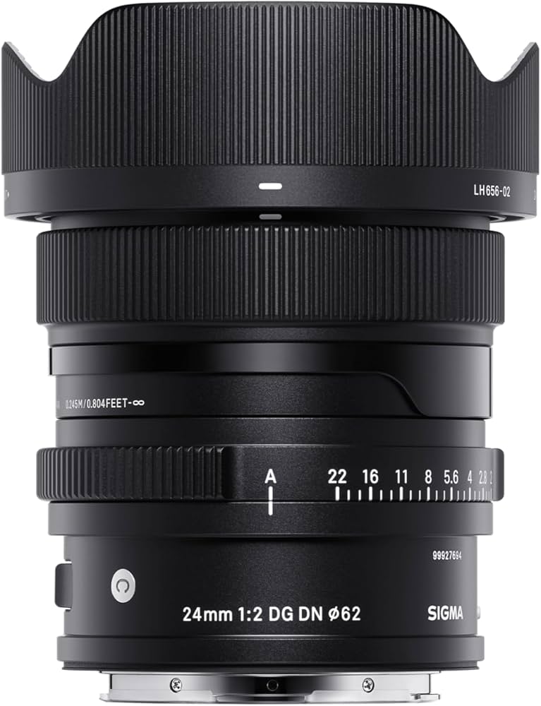 Amazon.co.jp: シグマ(Sigma) レンズ 24mm F2 DG DN Lマウント 単焦点