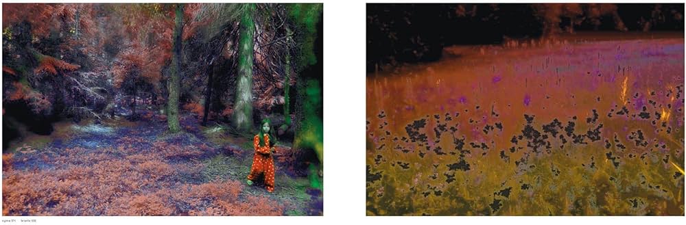 Amazon.co.jp: Annelies Strba: My Life in Dreams : Hutchinson, John