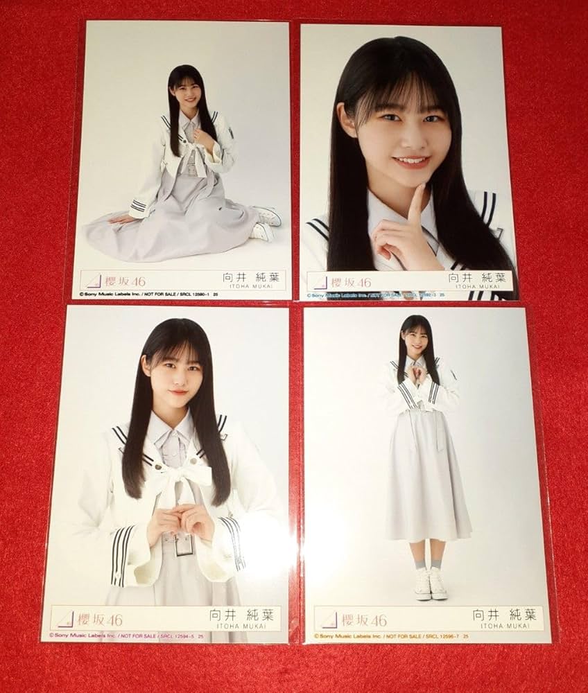 Amazon.co.jp: 向井純葉 櫻坂46 グッズ Start over! 生写真 コンプ