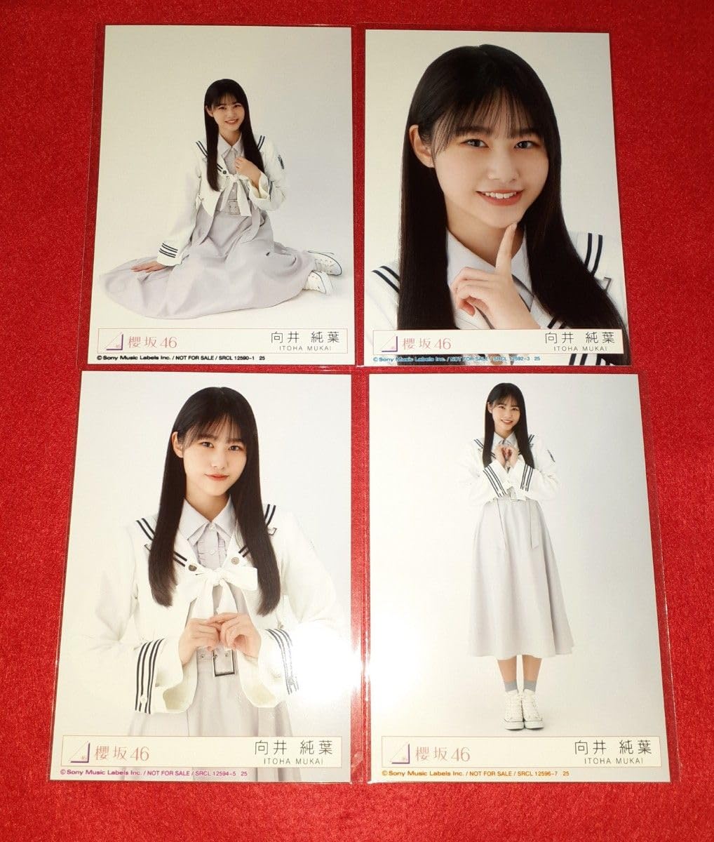 Amazon.co.jp: 向井純葉 櫻坂46 グッズ Start over! 生写真 コンプ
