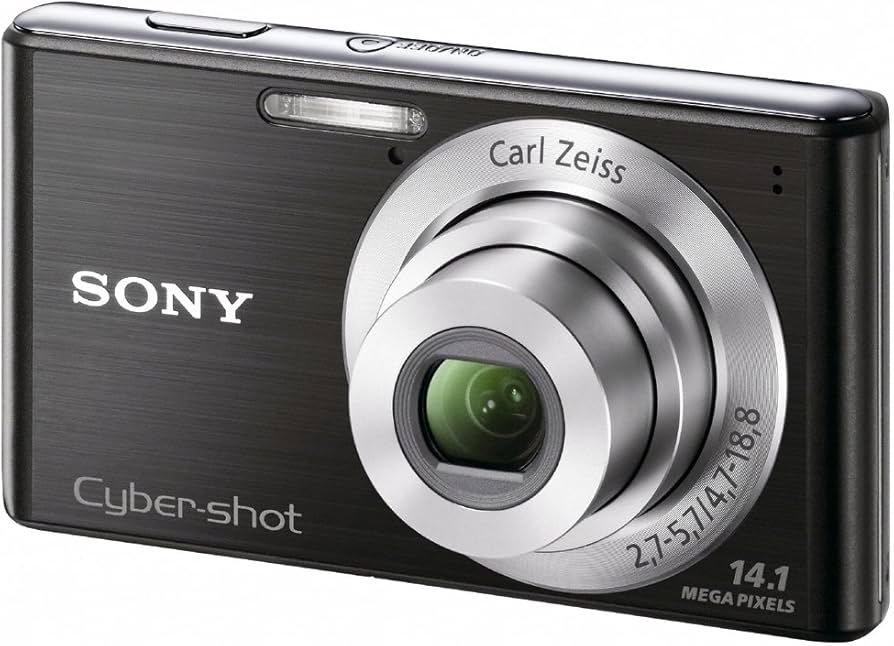 Amazon.com : Sony Cyber-Shot DSC-W530 14.1 MP Digital Camera with