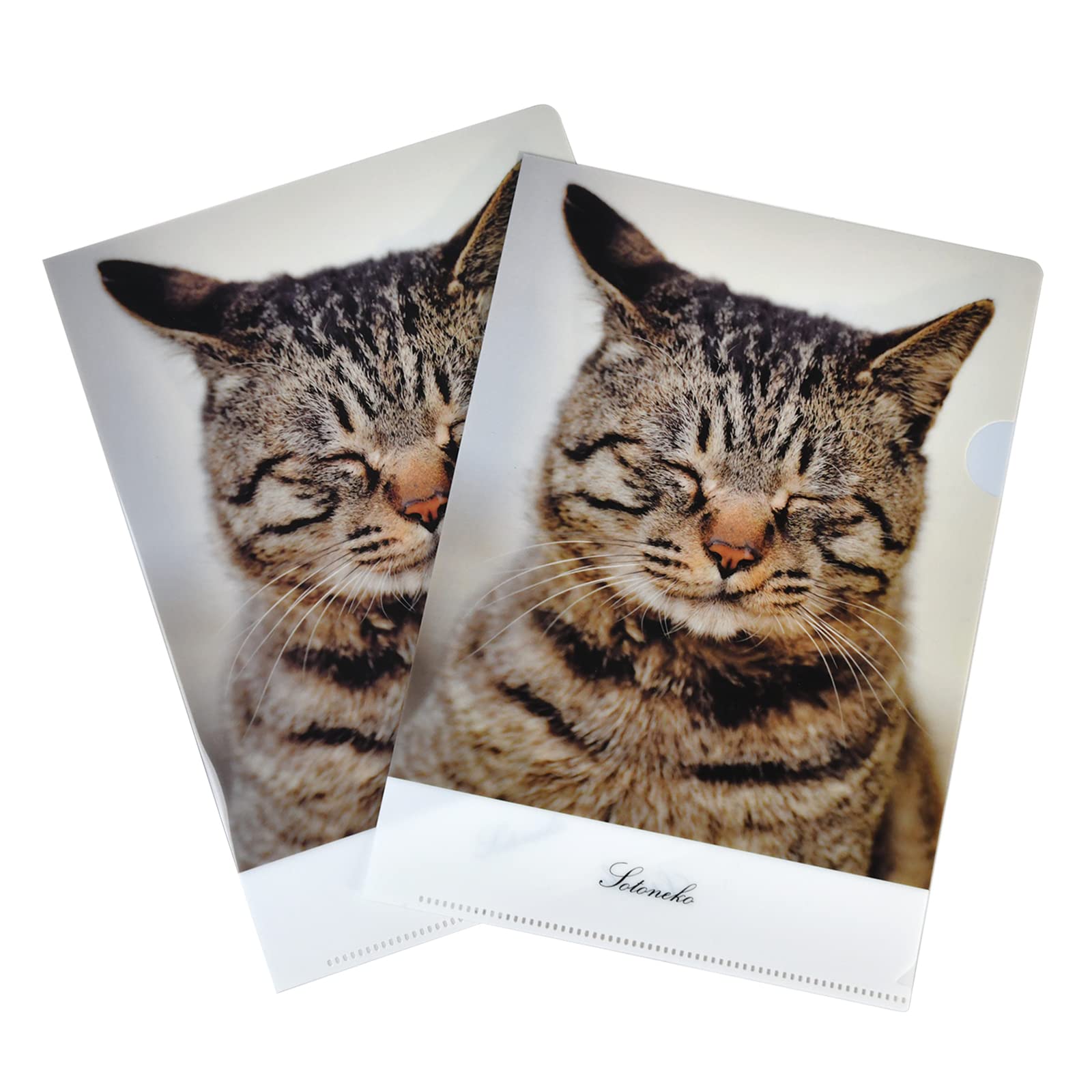 Amazon | キジトラ猫 クリアファイル 写真 A5サイズ 日本製 2枚セット