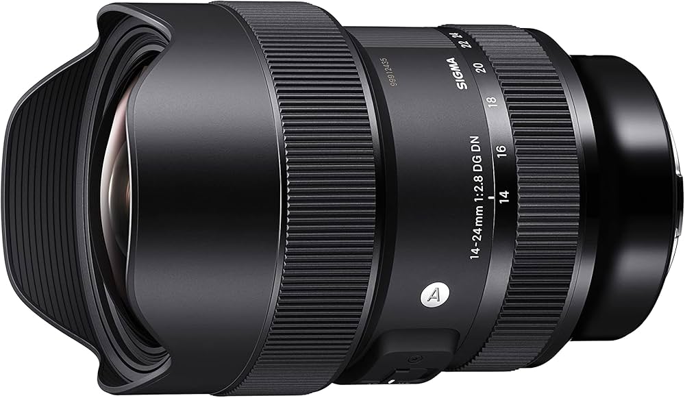 Amazon.co.jp: シグマ(Sigma) レンズ 14-24mm F2.8 DG DN Leica ライカ