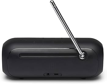 Amazon.co.jp: JBL TUNER 2 FM Bluetoothスピーカー 防水/ポータブル