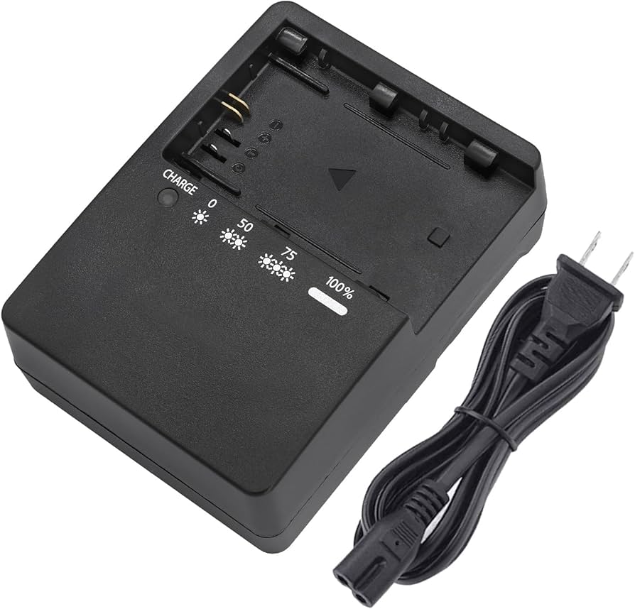 Amazon.com : LC-E6 LC-E6E LP-E6N Battery Charger for Canon EOS R