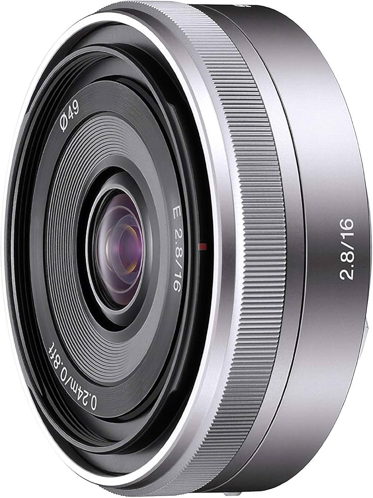 Amazon.com : Sony SEL16F28 16mm f/2.8 Wide-Angle Lens for NEX