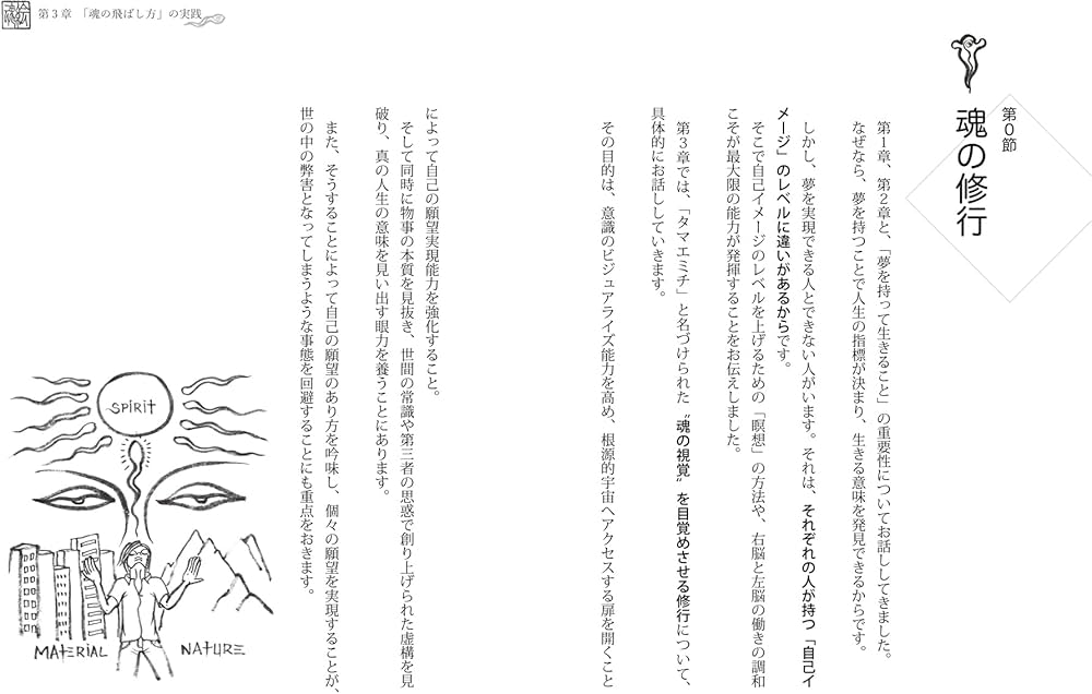 真・魂の飛ばし方「魂の視覚を鍛えれば、夢はすべて叶う」〜タマエミチ